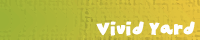 Vivid Yard